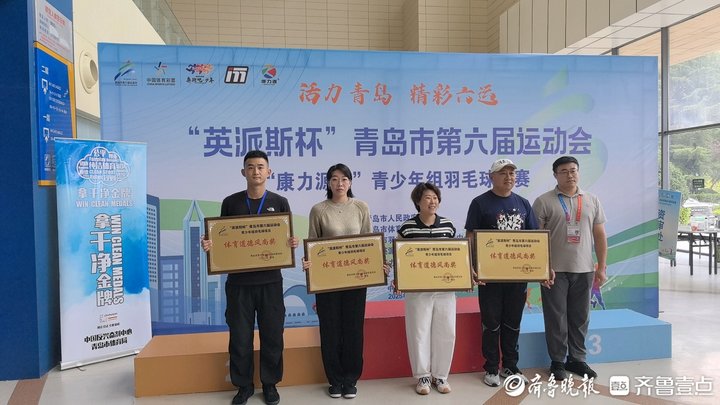 羽毛球运动, 市人民政府, 中甲乙组局
