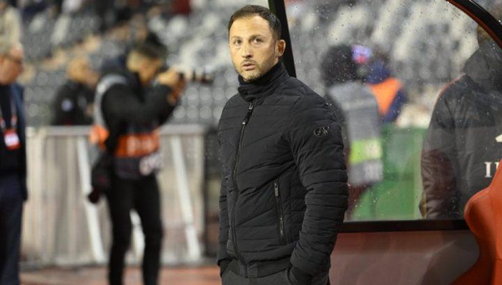 履历已颇具, dingy, img 履历已颇具, dingy, img