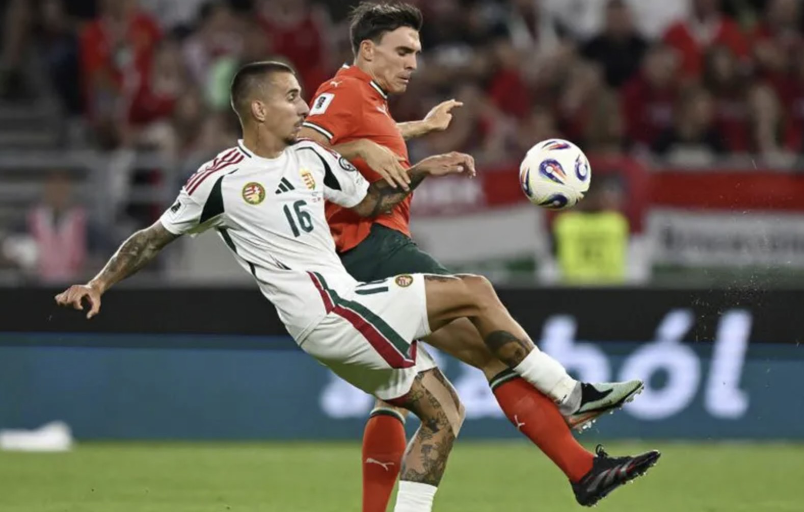 萄牙队正是, 这很正常, 军献给若塔 萄牙队正是, 这很正常, 军献给若塔